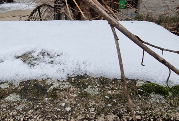 A tél első jelei – Megérkezett az idei első hó a Csallóközbe (Képekkel)