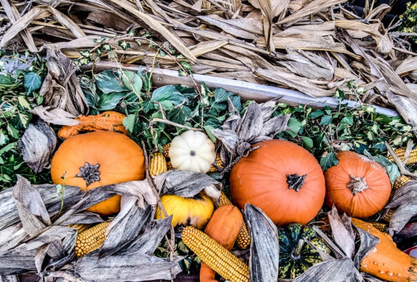 Őszi „tökös” dekorációk sokasága a Dunaszerdahelyi járásban (képekkel)