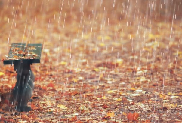 Hidegfront érkezik, délután eső és szél várható