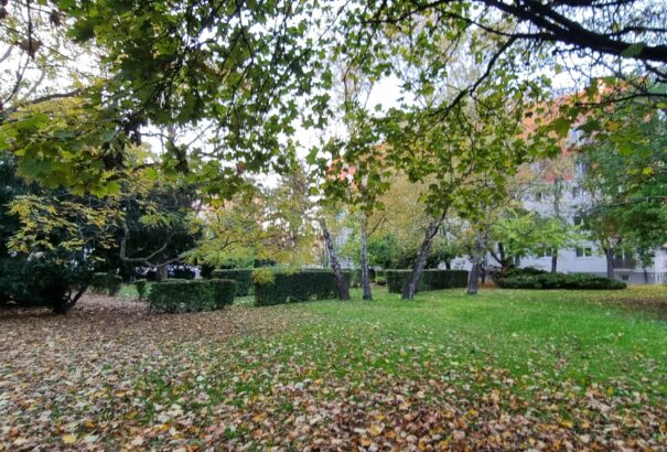 Változékony idő várható a jövő héten