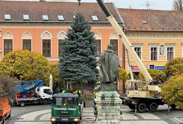 Megérkezett Komárom város karácsonyfája a Klapka térre
