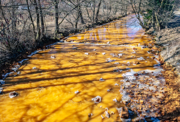 Környezetvédők: Azonnal reagálni kell a vízszennyezésre!