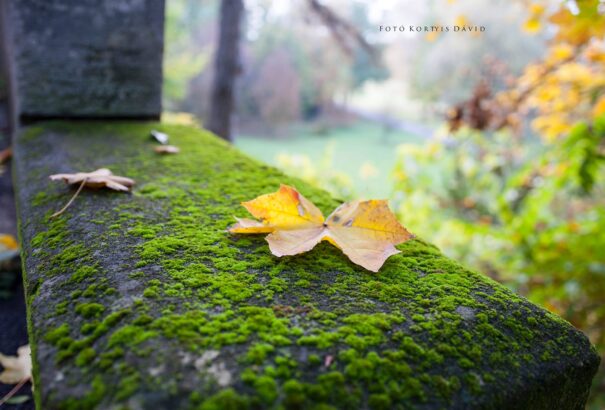 Szombaton visszatér a napos idő