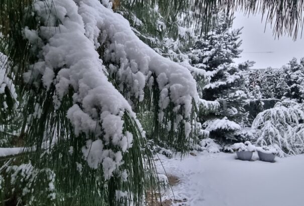 Egész napos havazás jellemzi a szerdát