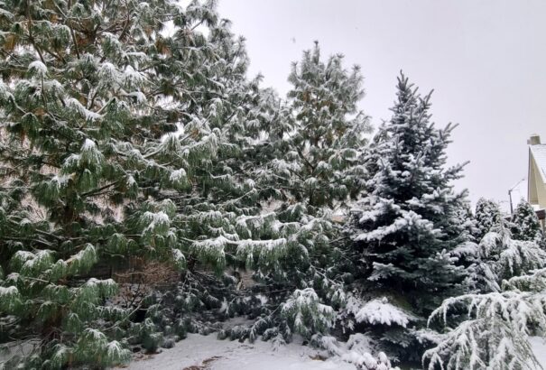 Havazással zárul a hét