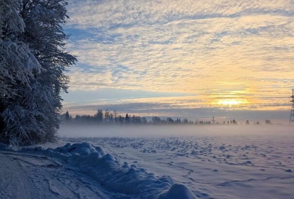 Téli séta Észtország tájain – Képekkel