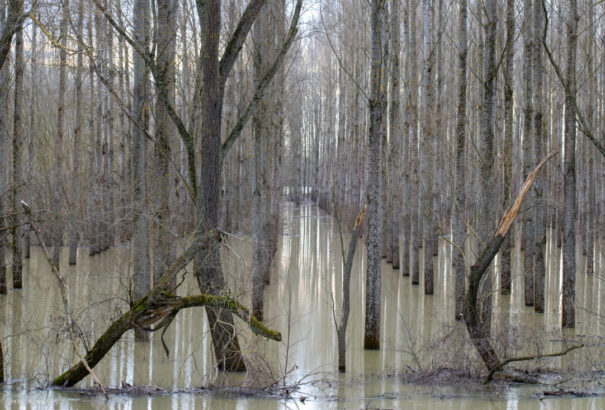 Szlovákiában már apadnak a folyók, Csehországban romlik a helyzet, Magyarországon tolódik a tetőzés