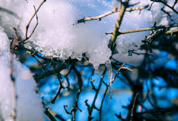 Enyhe időnk lesz kedden, helyenként a nap is előbújik