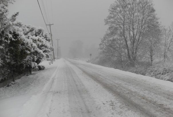 Háztartások ezrei maradtak áram nélkül az erős havazás miatt