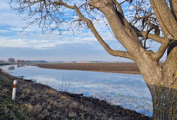 Szeles, csapadékos idő várható