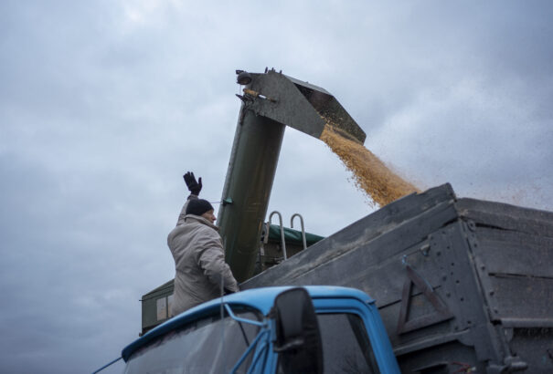 Az EU még szélesebbre tárná a kaput az ukrán gabona előtt. A lengyel uniós biztos tiltakozik