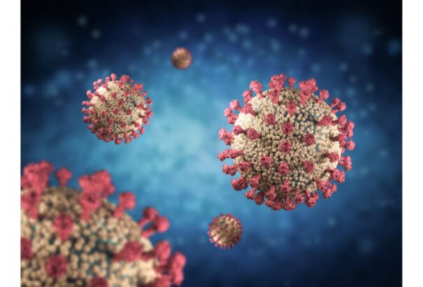 Tanulmány készült arról, miért volt magas a halálozás a koronavírus-járvány idején