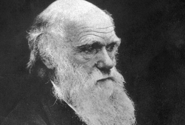 215 évvel ezelőtt született Charles Darwin, akinek ma közzéteszik szédítő könyvtárát
