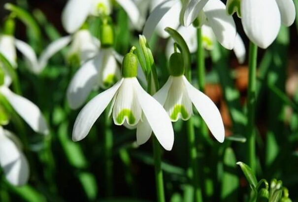 Csallóközben akár 18 fokot is mérhetünk ma