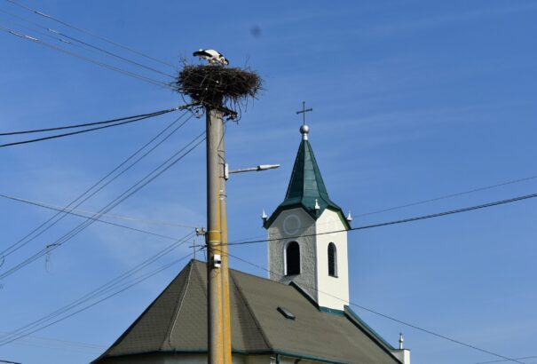 Mede Géza: Ilyen is van – a kétnyelvűség területén még nem vesztünk el teljesen