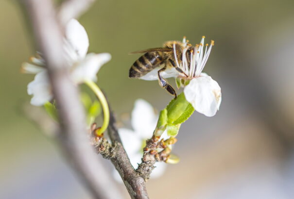 Reggel borongós, egyébként meleg napunk lesz