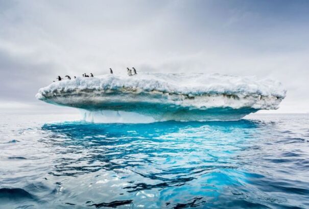 Megtörténhet az elképzelhetetlen: 5-15 éven belül jégmentessé válhat az Északi-sarkvidék