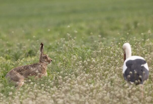 Meteorológia: három melegrekord is megdőlt szombaton