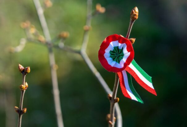 Ki hímezte Petőfi Sándor kokárdáját?