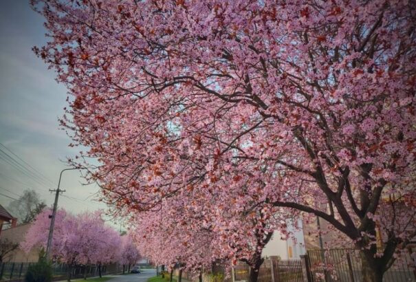 Napos, de szeles időnk lesz vasárnap