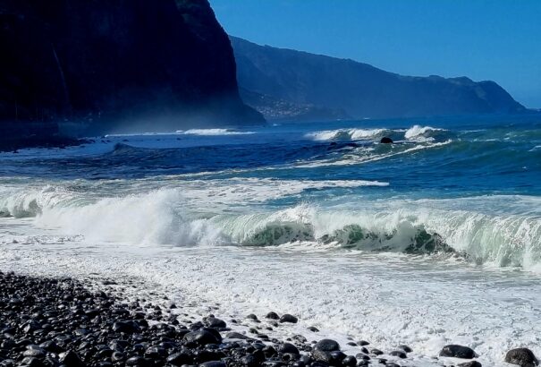 Dr. Hollósy Tamás: Az élet védelmében. Gondolatok a mai, háborús időkben