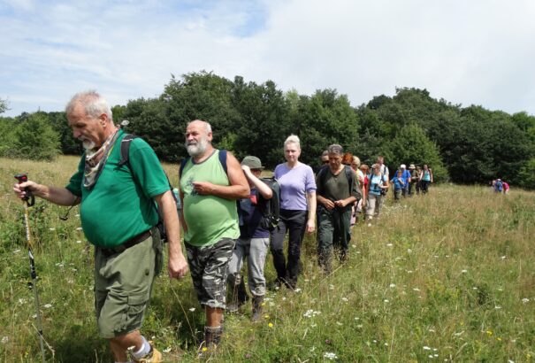 Mede Géza: Túrázás a természet lágy ölén, a Medvesalján