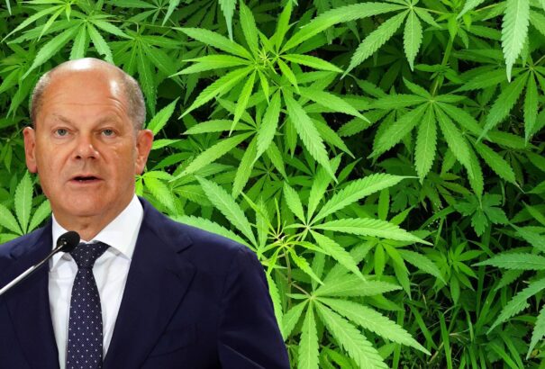Hatályba lépett a kannabisz „ellenőrzött legalizálását” célzó törvény Németországban