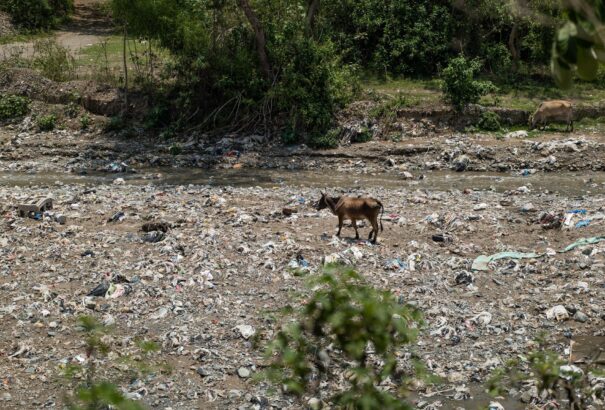 Ma van a Föld napja
