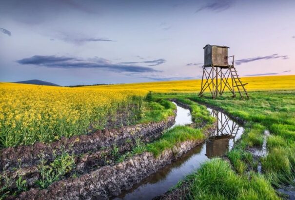 Borult, szeles idővel indul a hét