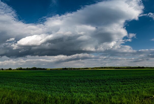 Közepesen felhős időnk lesz szombaton, van olyan régió, ahol esőre kell számítani