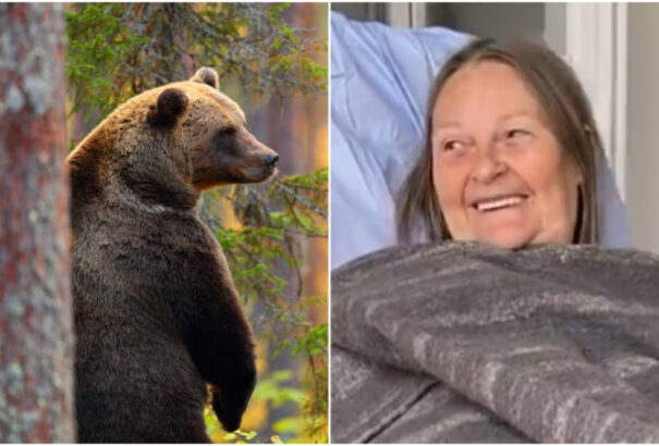 Két nő szelfizni akart a medvével, végül az egyiküknek beleharapott a kezébe