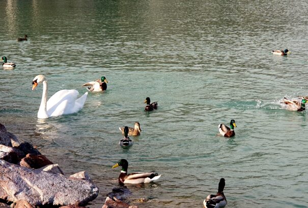 Kellemes, kora nyári időnk lesz
