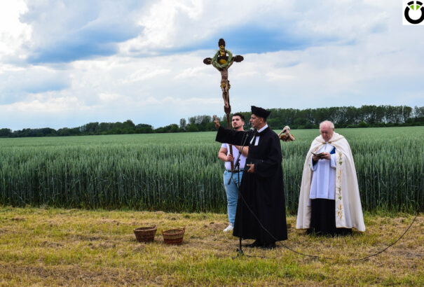 Megszentelték a búzát Nyékvárkonyban (képekkel)