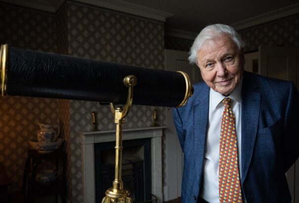 98 éves lett az élő legenda, Sir David Attenborough