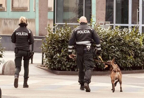 Több mint 1320 iskola kapott bombafenyegetést kedden. A szakértő szerint a biztonsági rendszert akarták túlterhelni az elkövetők