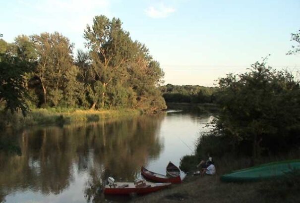Hat ember fuldokolt a Kis-Dunában Jányokon
