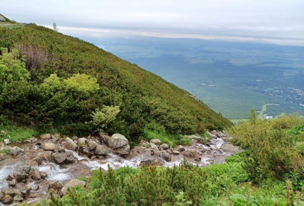 A Magas-Tátra bércei között – Tátralomnic és a Csorba-tó környékén