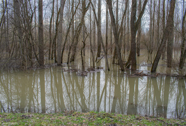 SHMÚ: Kora este tetőzhet a Duna Komáromnál