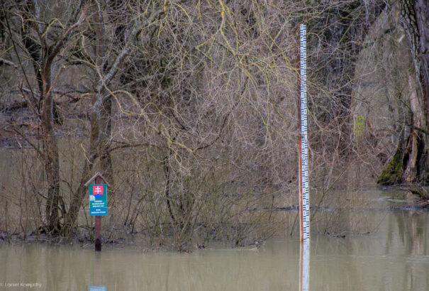Szerdán tetőzik a Duna