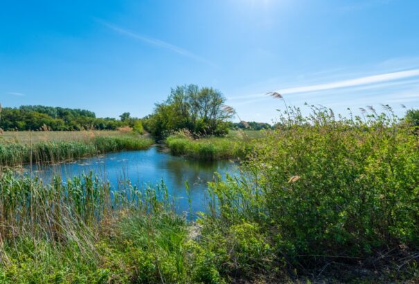 Itt a fordulat: Napokon belül berobban az igazi nyár, 35 fok közeli kánikulával