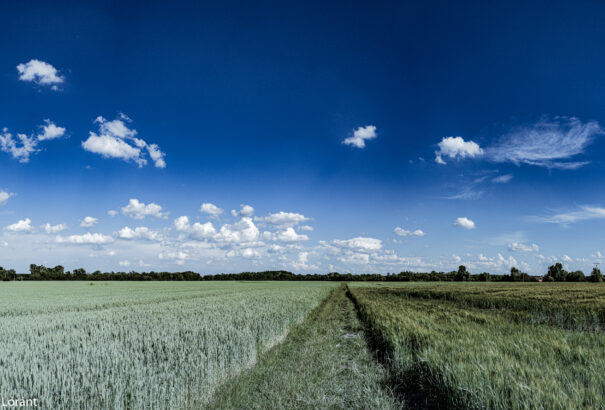 Verőfényes napsütéssel indul a hét
