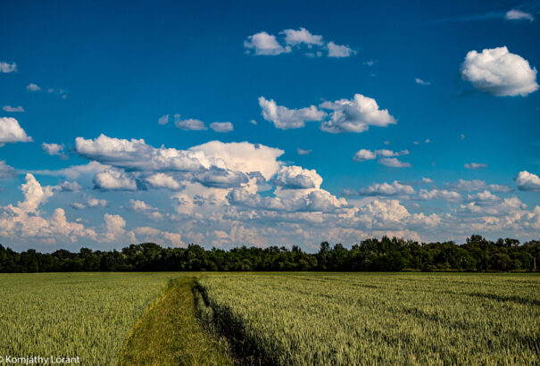 Küszöbön az igazi nyár, pénteken már több napsütésben lesz részünk