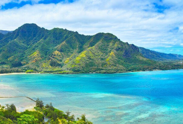 Halálos cápatámadás Hawaii szigetén