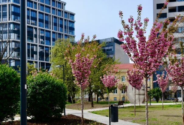 Bővül a pozsonyi parkok száma. A hétvégén két új zöldövezetet is átadnak
