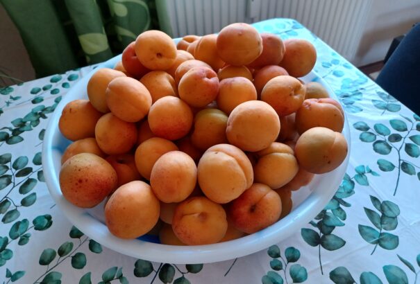 Sárgabarack-befőzés: Tegyünk el télre is a hazai gyümölcsfák illatos terméséből