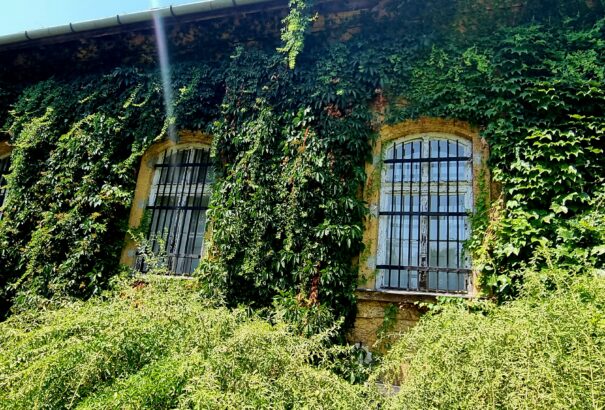 Kellemes nyári idővel zárul a hét