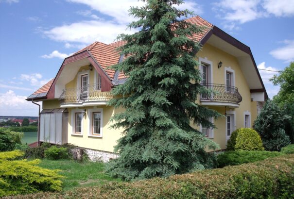 Mede Géza: Egy udvar szépségei – Képekkel