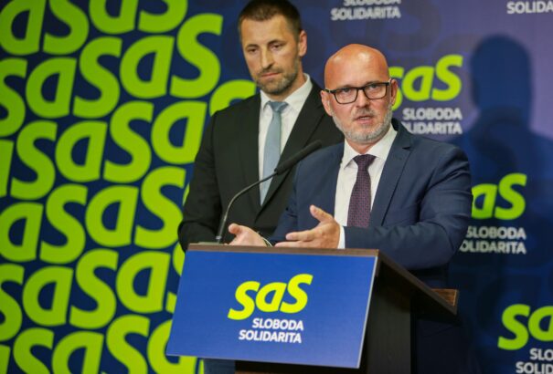 SaS: A kormány a vadászgépek üdvözlésével a saját képmutatását bizonyította