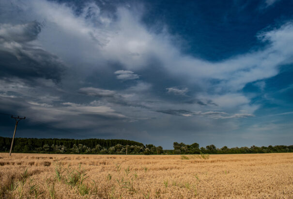 Túlnyomóan borult, közepesen felhős időnk lesz a munkahét közepén