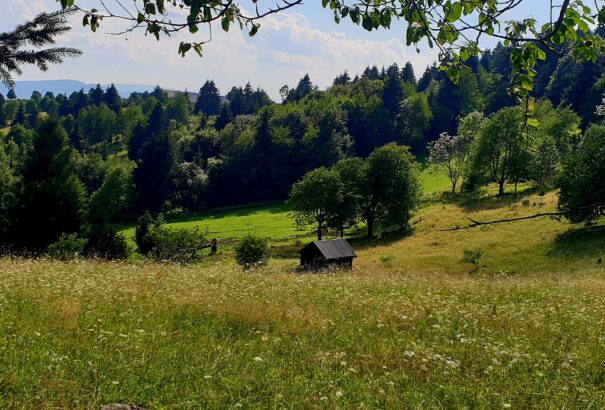 Ma is 30 fok felett mutat majd a hőmérő